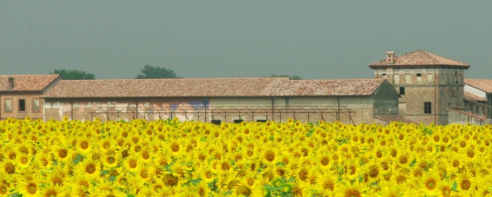 
            Фотография Каорсо