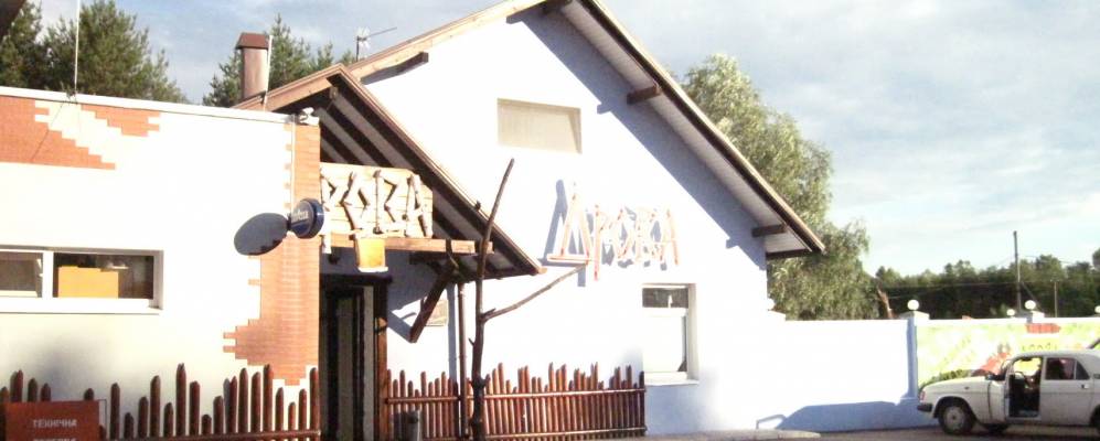 
            Фотография Сосновки