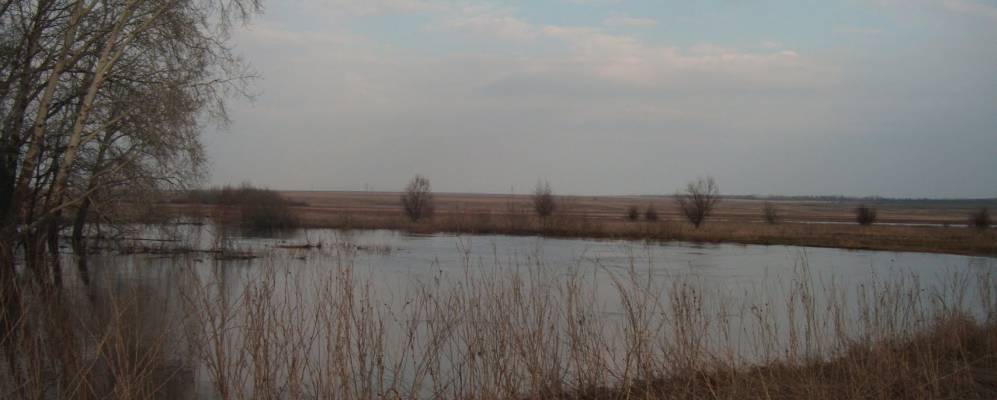 Фотография Большой Чесноковки