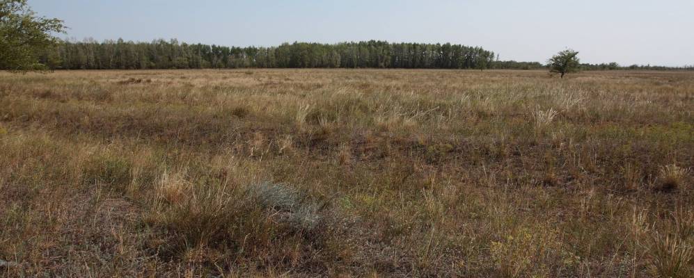 Фотография Первомайского