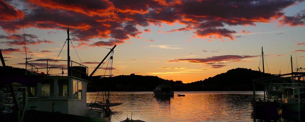 
            Фотография Муртер