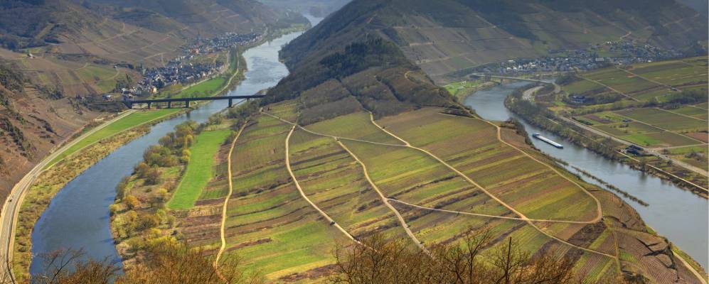 
            Фотография Бремма