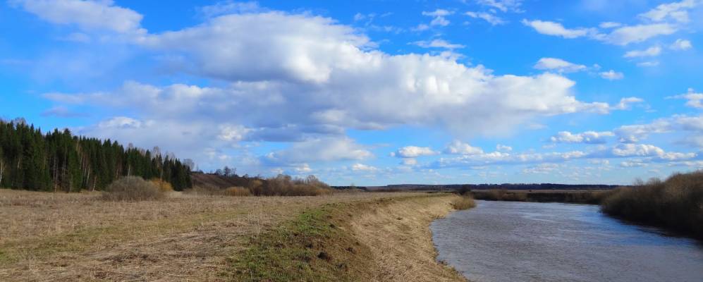 
            Фотография Жгулей