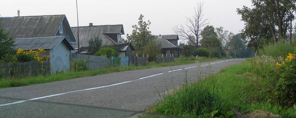 
            Фотография деревни Большие Мхи