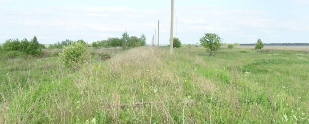 
            Фотография Гальцово