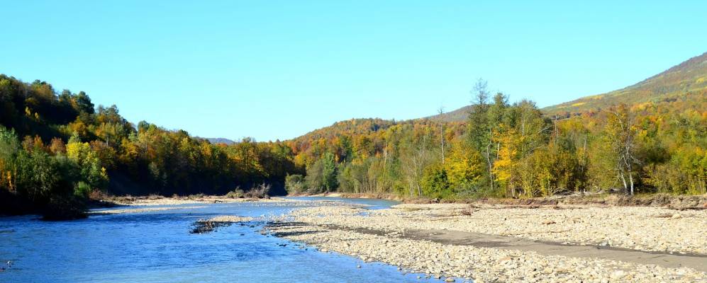 
            Фотография Терзияна