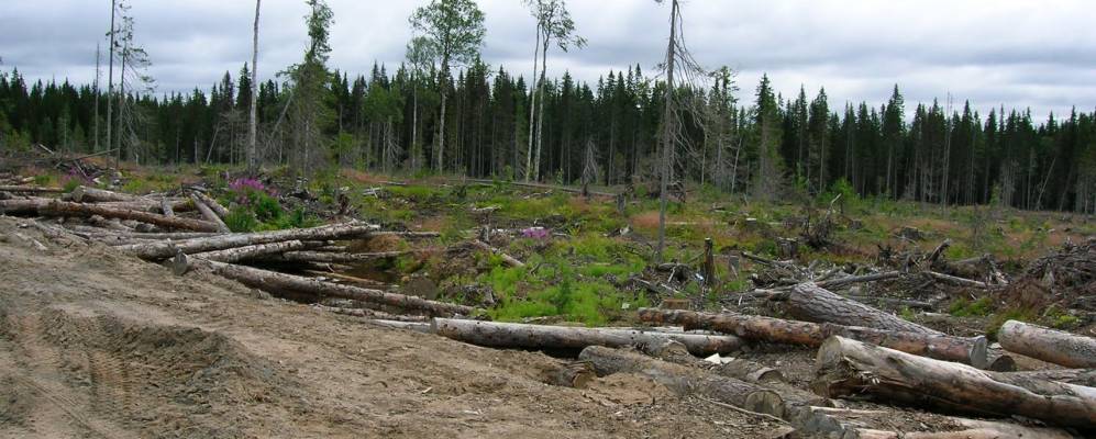 Фотография Брюшинской