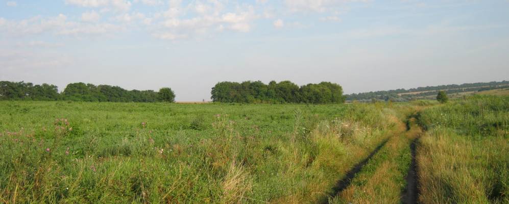 
            Фотография Грушевки