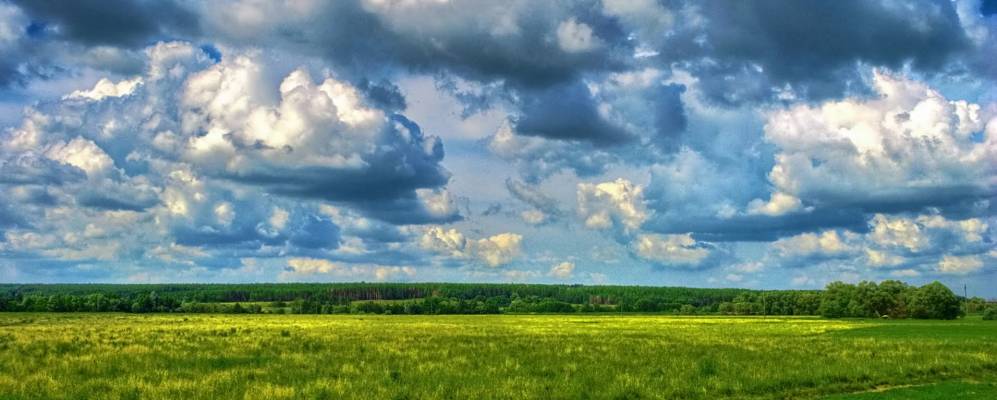 Фотография Городища