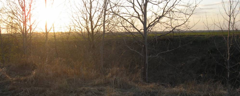 
            Фотография Степной Шенталы