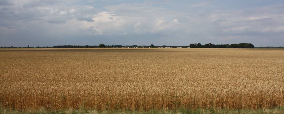 
            Фотография Новоселицы