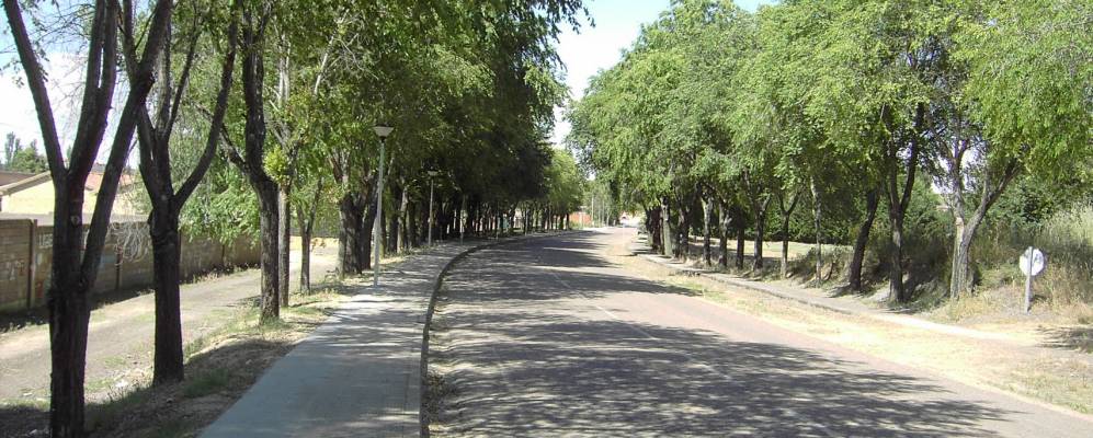 
            Фотография Monzón de Campos