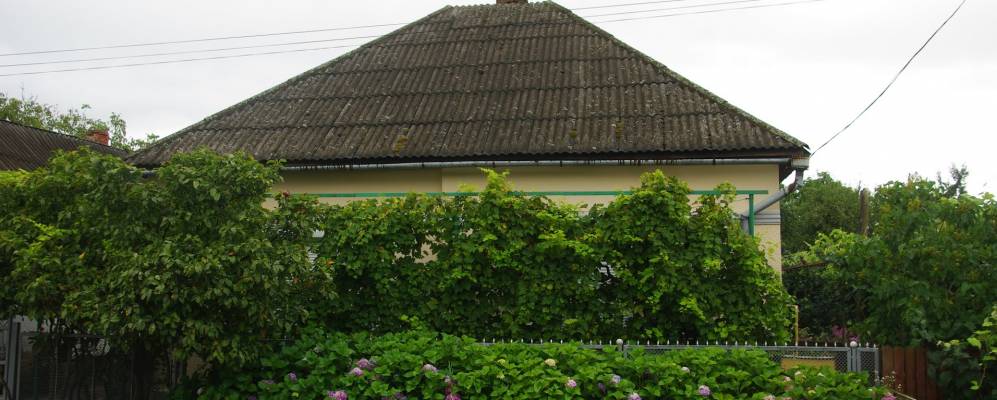 
            Фотография Неветленфолу