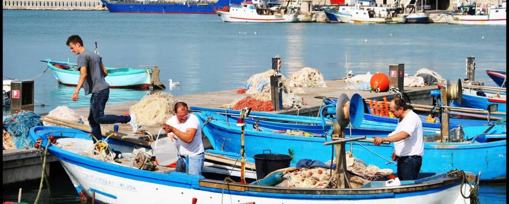 
            Фотография Мольфетты