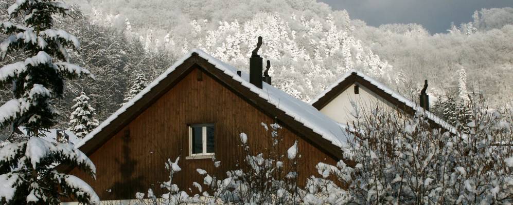 
            Фотография Зелленбуерена