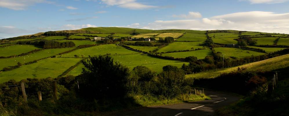 
            Фотография Коннора