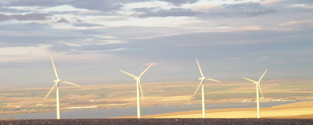 
            Фотография Хайленда