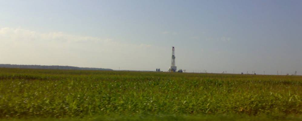 
            Фотография Капоровки