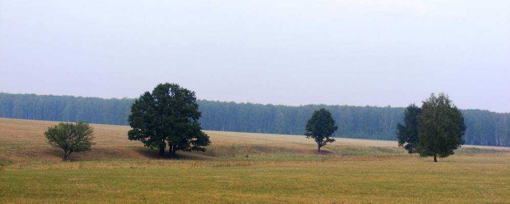 Фотография Бурцево