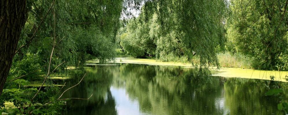 Фотография Млинова