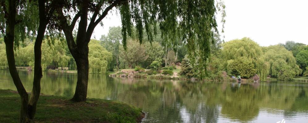 
            Фотография Элё-ди-Ловета