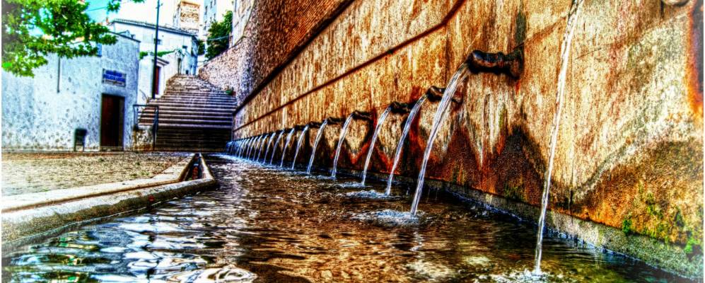 
            Фотография Лохы