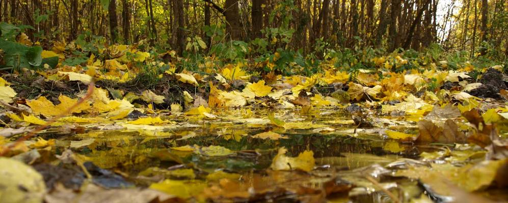 
            Фотография Сартыка
