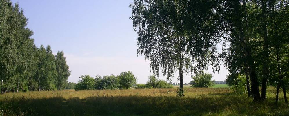 
            Фотография Шарапово