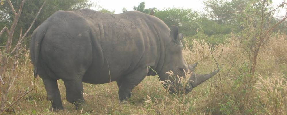 
            Фотография Тядяи