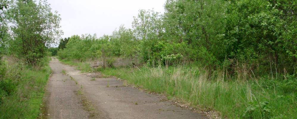 
            Фотография Демьянки-Лесной