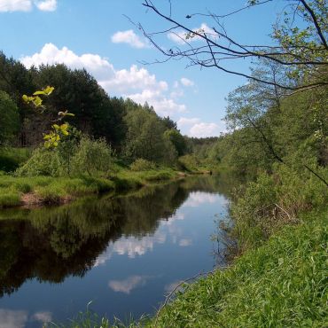 Савватьево