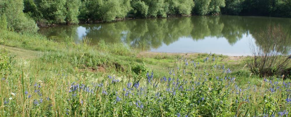 
            Фотография Урывков