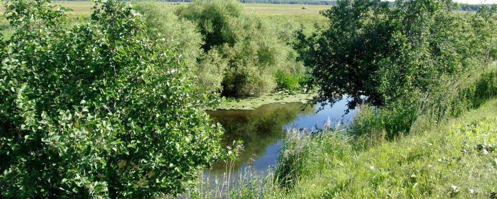 
            Фотография Спасского