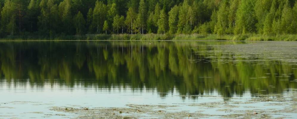 
            Фотография Конецкой