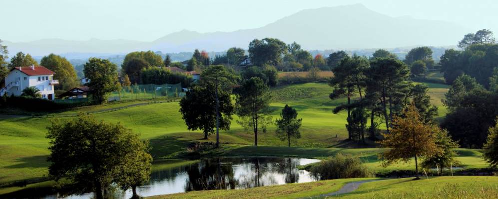 
            Фотография Арканга