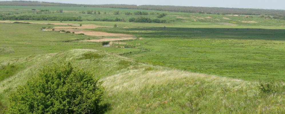 
            Фотография Огородного