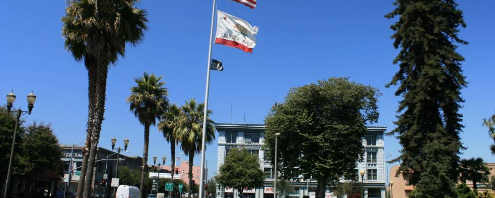 
            Фотография Паджаро