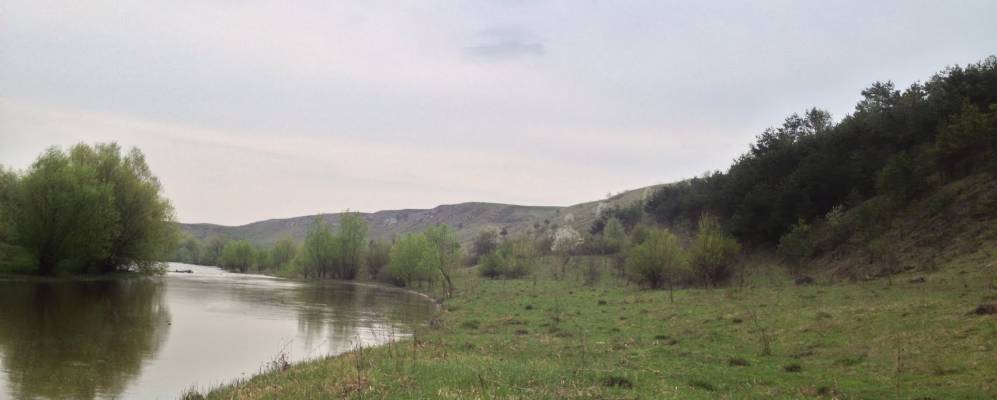 
            Фотография Залесья