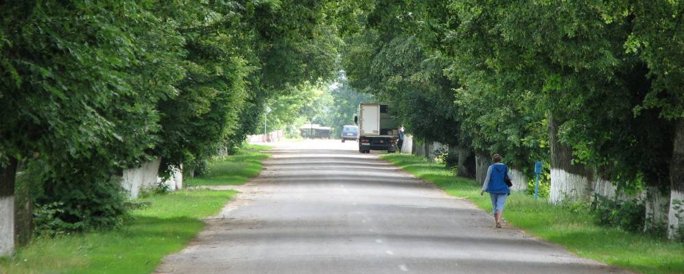 Фотография Литовска