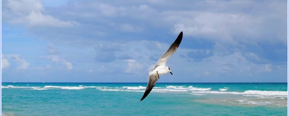 
            Фотография Atlantic Heights