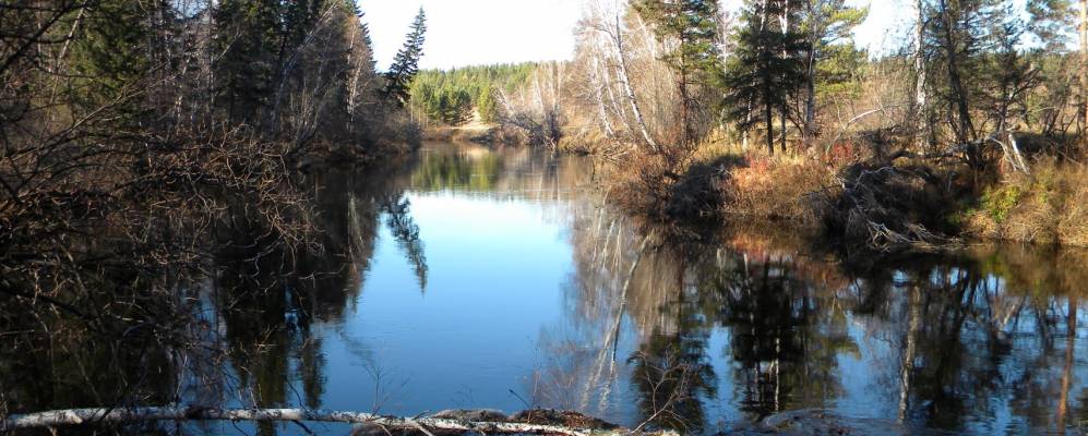 
            Фотография Стенихи