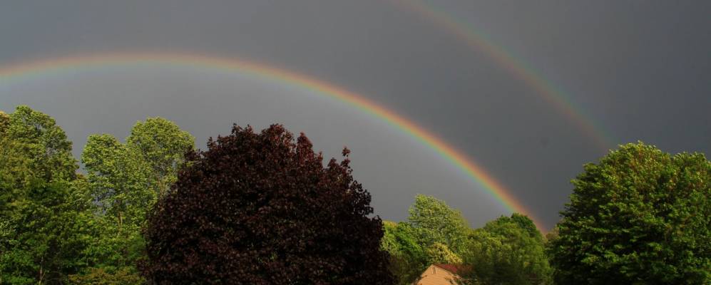 
            Фотография Тимберлэйка