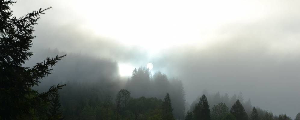 
            Фотография Меттмаха