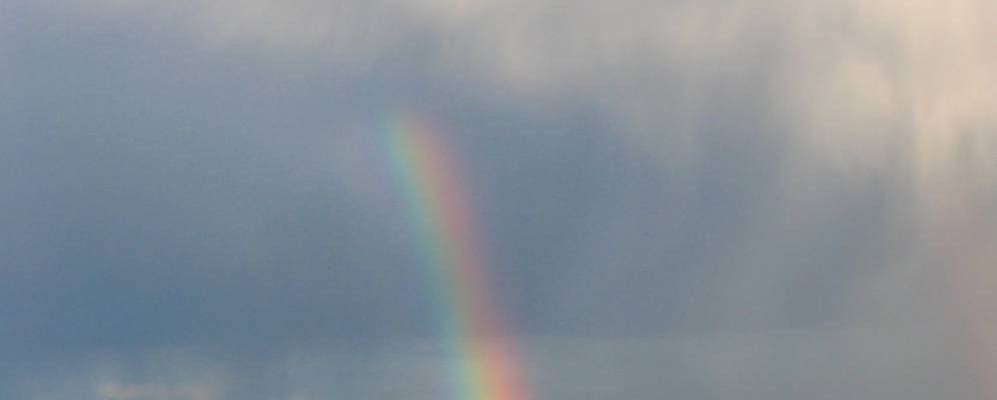 
            Фотография Грабовщины