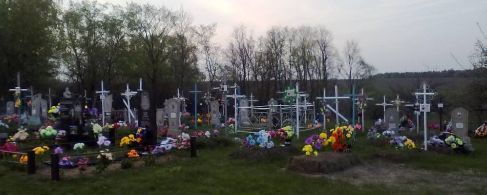 
            Фотография Королевщины