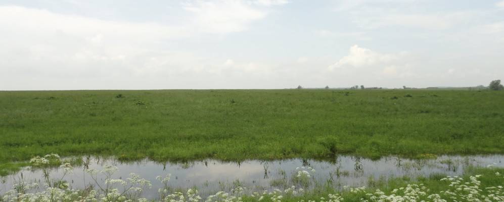 
            Фотография Пызино