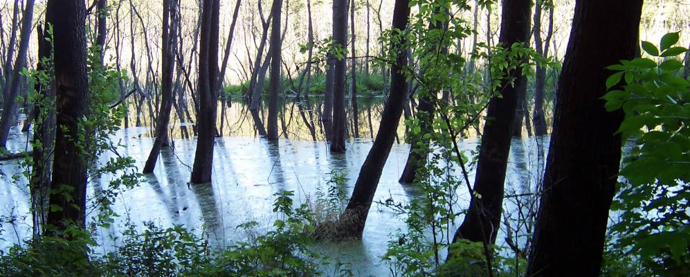 
            Фотография Отомина