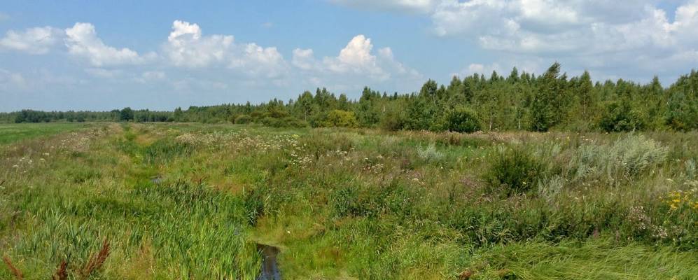 
            Фотография поселка Гороховищи