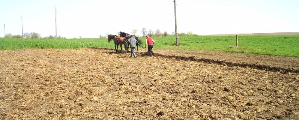 
            Фотография Бубновки