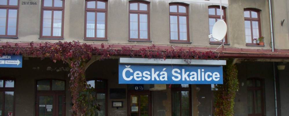 
            Фотография Клены